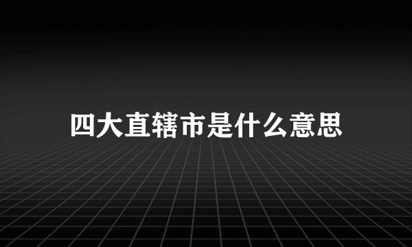 四大直辖市是什么意思