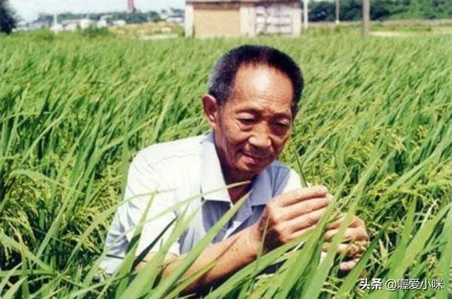 一个视频主播拿袁隆平照片问一些青年，十个有九个不认识你怎么看？