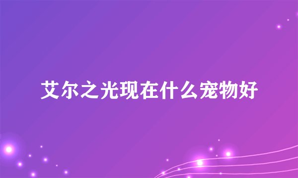 艾尔之光现在什么宠物好