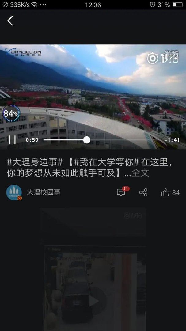 大理大学的樱花真的很多吗?好看吗?