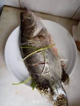 清蒸鲑鱼