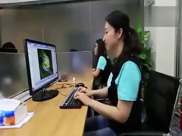 云帆搜索的云帆搜索详解