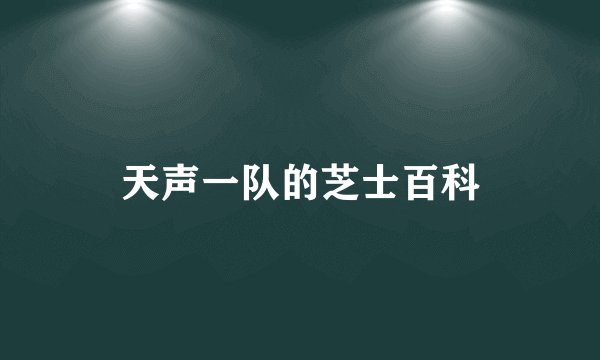 天声一队的芝士百科