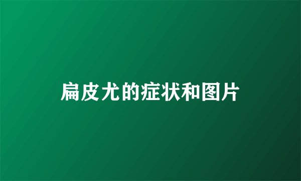 扁皮尤的症状和图片