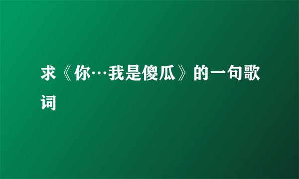 求《你…我是傻瓜》的一句歌词