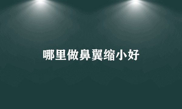 哪里做鼻翼缩小好