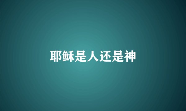 耶稣是人还是神