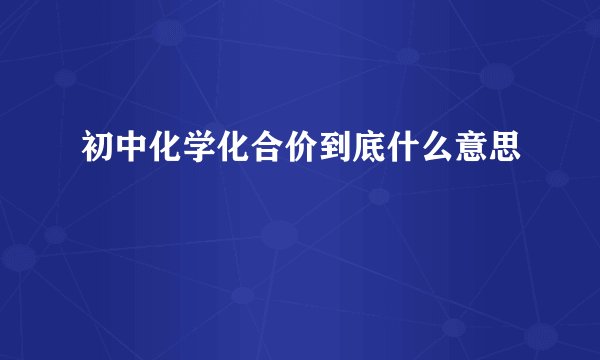 初中化学化合价到底什么意思