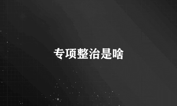 专项整治是啥