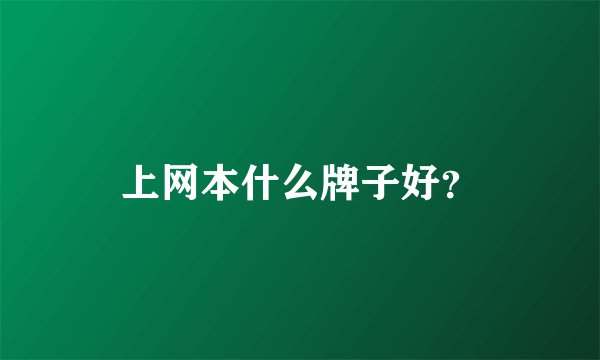 上网本什么牌子好？