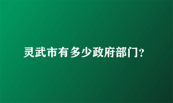 灵武市有多少政府部门?