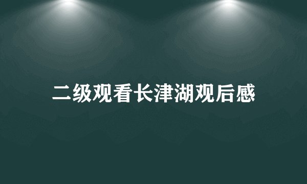二级观看长津湖观后感