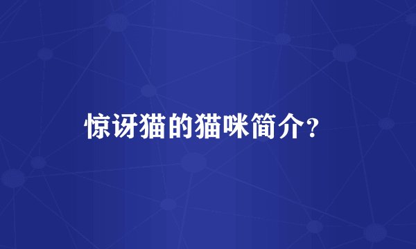 惊讶猫的猫咪简介？