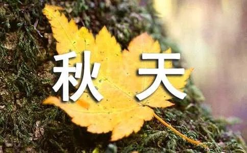 赞美秋天的成语