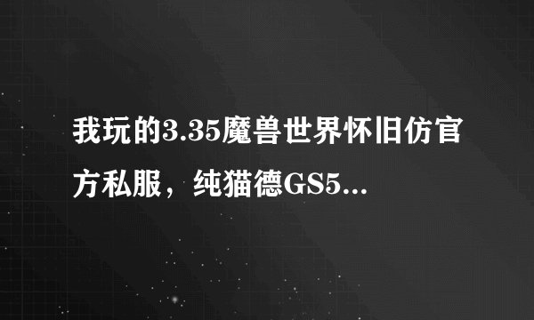 我玩的3.35魔兽世界怀旧仿官方私服，纯猫德GS5600+木桩秒伤刚4000+请问原先官服也这伤害么？