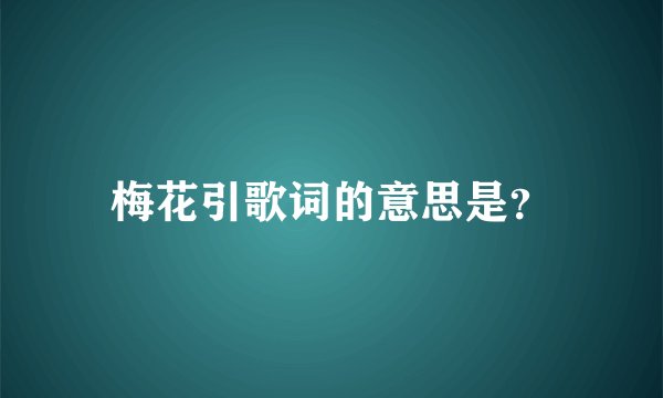 梅花引歌词的意思是？