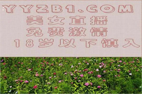 我女朋友被传销组织骗去了,怎么才可以解救传销人员?