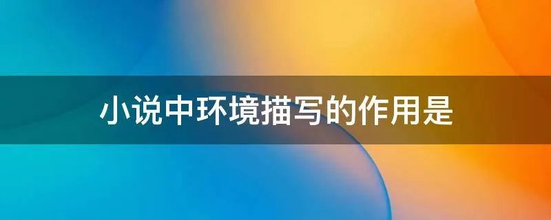 小说中环境描写的作用是