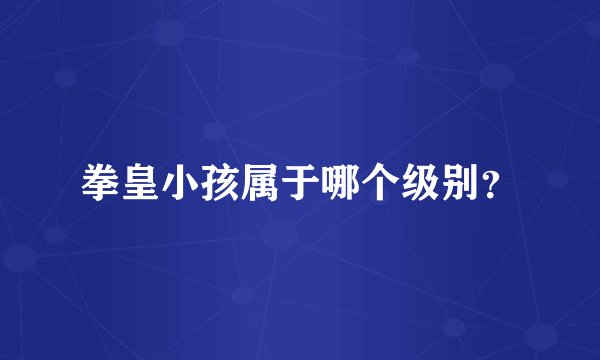 拳皇小孩属于哪个级别？