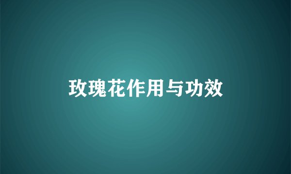 玫瑰花作用与功效