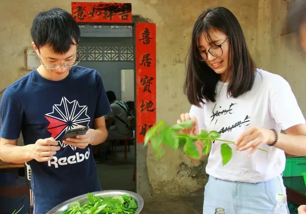 公司要搞团建活动,在深圳,有什么比较好的推荐吗?