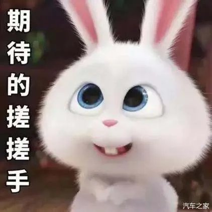 2019汽车销量出炉!大众第一,中国品牌谁最强?