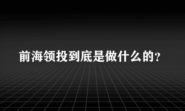 前海领投到底是做什么的？
