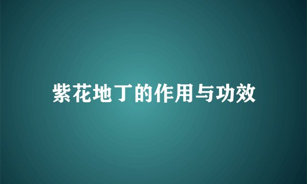 紫花地丁的作用与功效