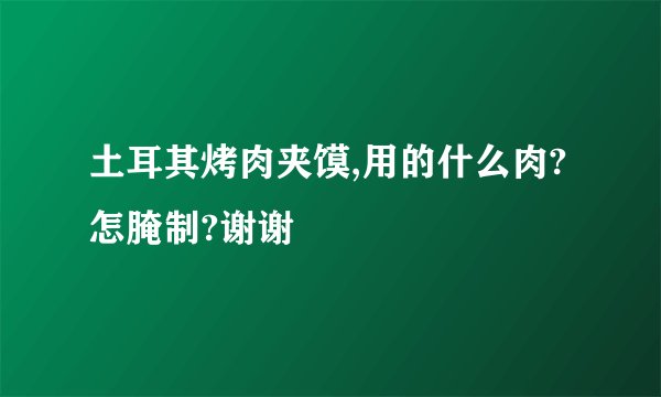 土耳其烤肉夹馍,用的什么肉?怎腌制?谢谢