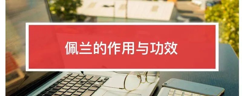 佩兰的作用与功效