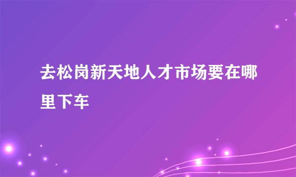 去松岗新天地人才市场要在哪里下车