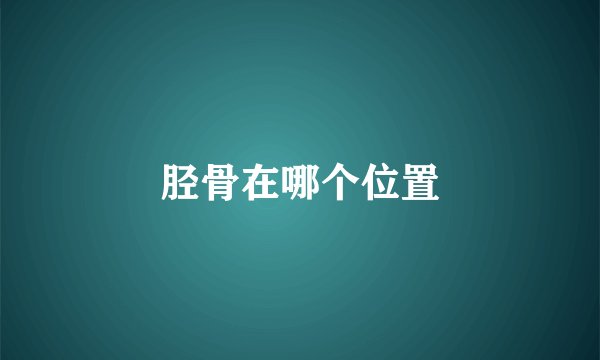 胫骨在哪个位置