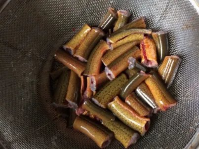 黄鳝汤的做法?