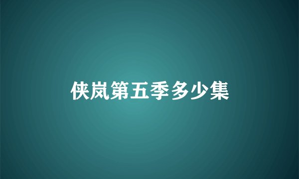 侠岚第五季多少集