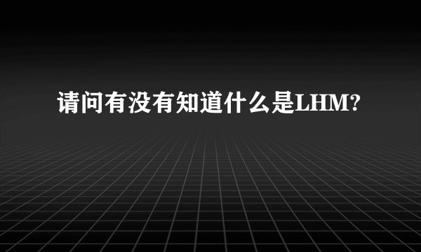 请问有没有知道什么是LHM?