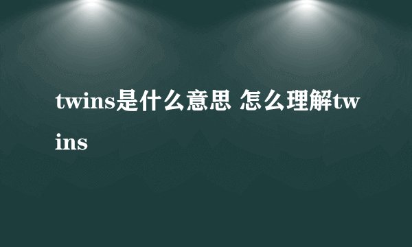 twins是什么意思 怎么理解twins