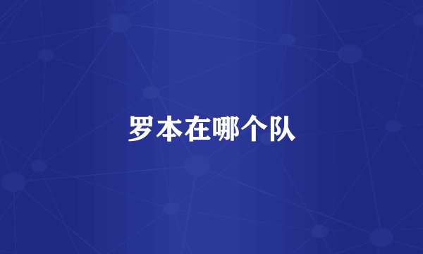 罗本在哪个队