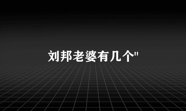 刘邦老婆有几个