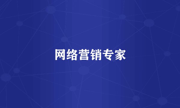 网络营销专家