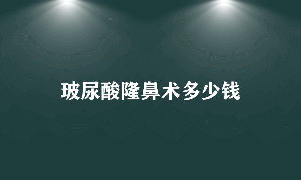 玻尿酸隆鼻术多少钱