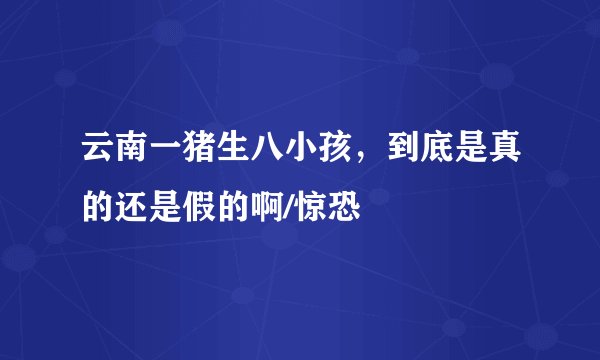 云南一猪生八小孩，到底是真的还是假的啊/惊恐