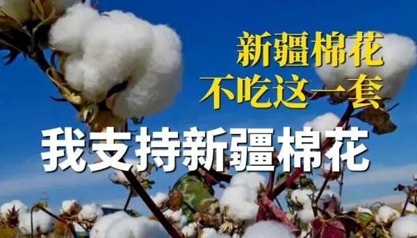 安踏称将退出BCI组织,对其品牌有何影响?