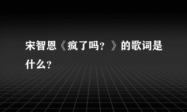 宋智恩《疯了吗？》的歌词是什么？