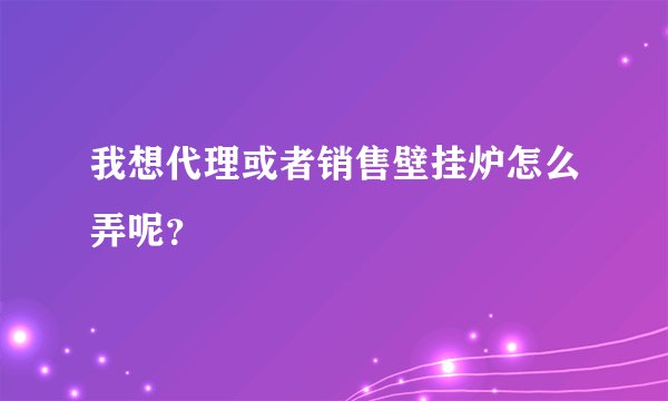 我想代理或者销售壁挂炉怎么弄呢?