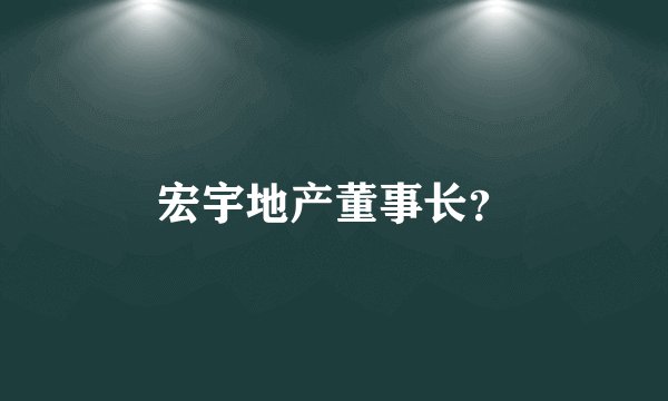 宏宇地产董事长？