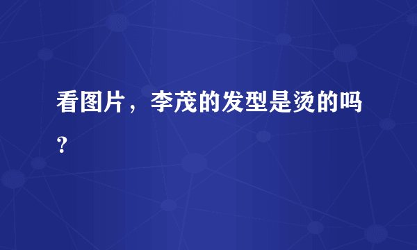 看图片，李茂的发型是烫的吗？