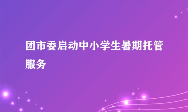 团市委启动中小学生暑期托管服务