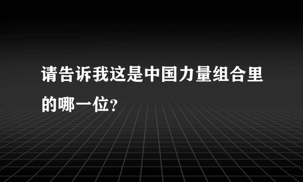 请告诉我这是中国力量组合里的哪一位？