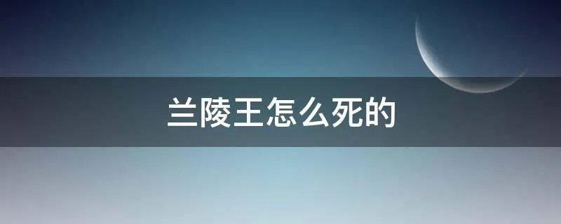 兰陵王怎么死的