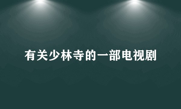 有关少林寺的一部电视剧